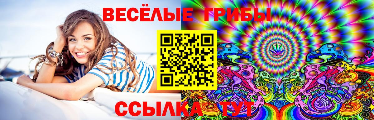 Псилоцибиновые грибы GOLDEN TEACHER Шатура